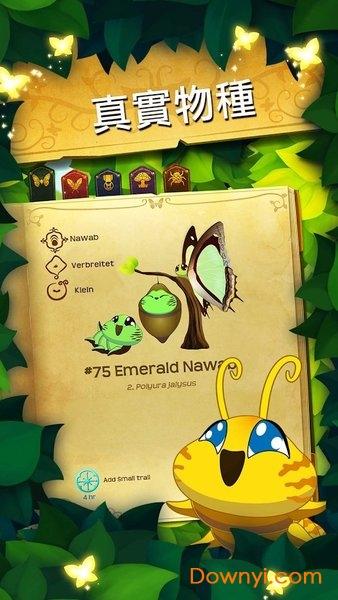 彩翼蝴蝶保护区最新最新版