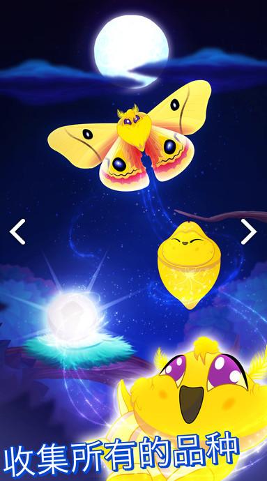 彩翼之星夜修改版