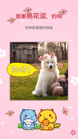 多彩视频手机版