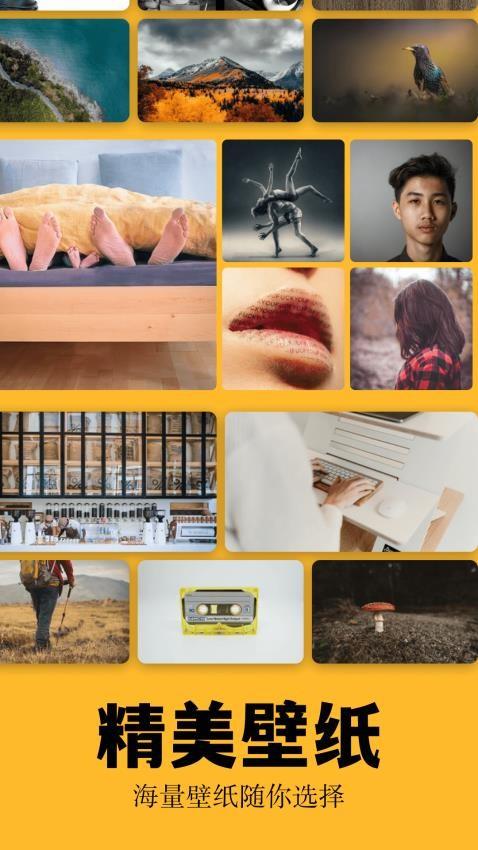 彩虹猫最新版(3)