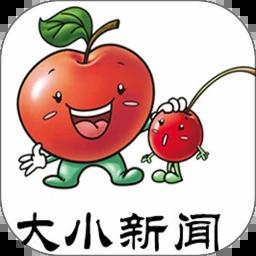大小新闻手机版