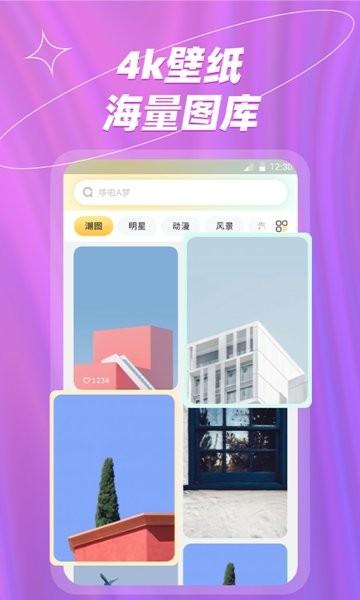 炫彩桌面壁纸大全app