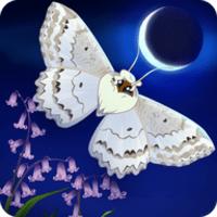 彩翼之星夜内购修改版