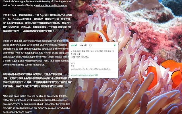 彩云小译谷歌插件