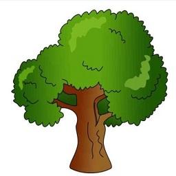 树简笔画彩色版