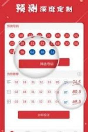 王中王免费资料大全料大全一精准(4)