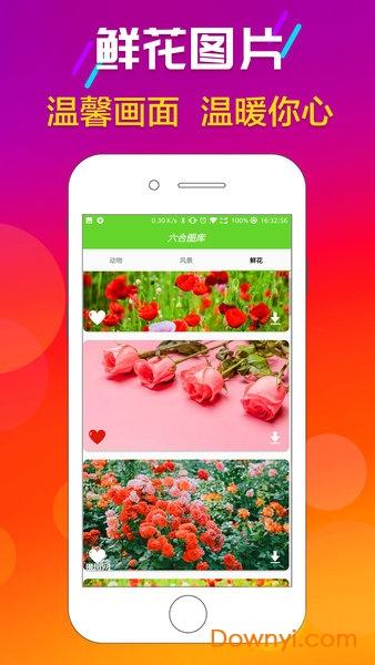 香港六合免费图库