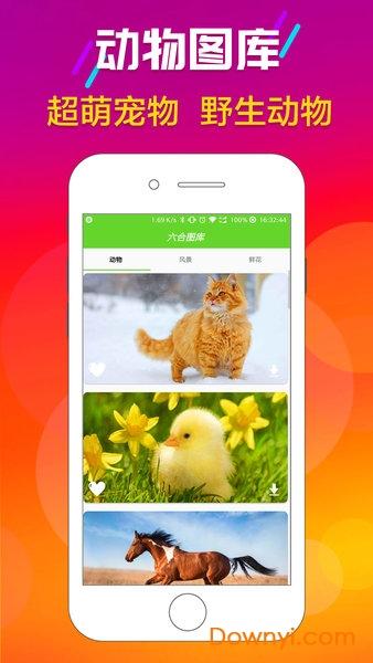 六合图库 香港六合免费图库