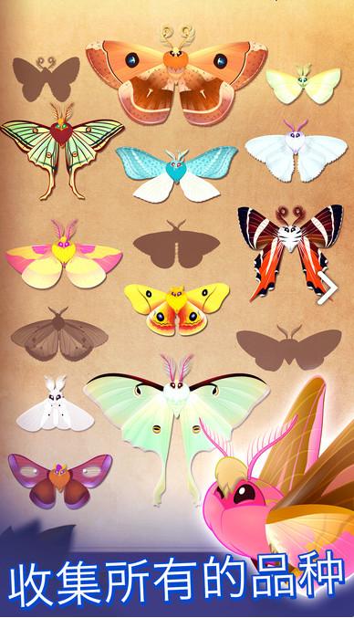 彩翼之星夜内购修改版