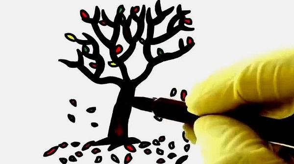 树简笔画彩色版