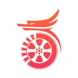 光彩龙驹司机版