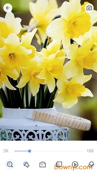 多彩放大镜软件