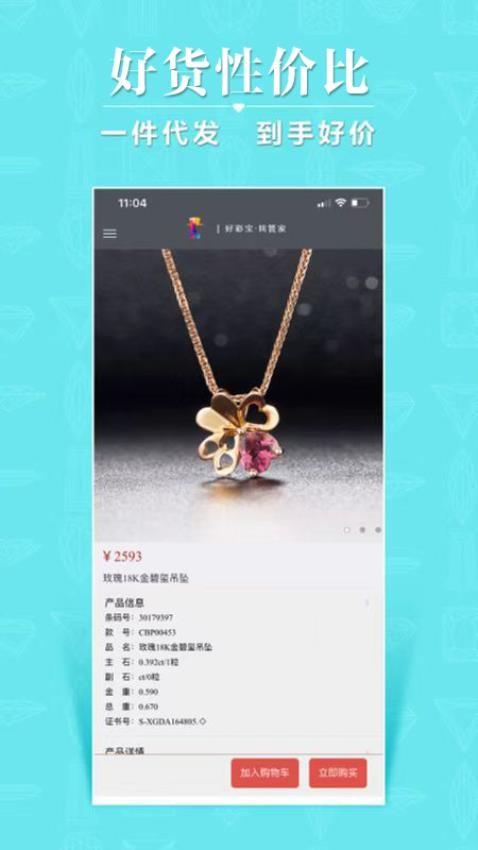 彩宝管家软件(2)